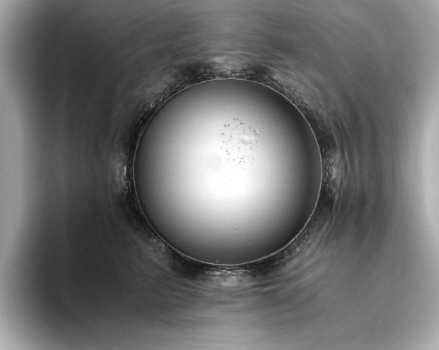 X0000093750615200710161159