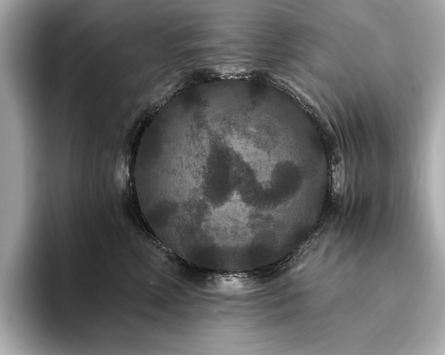 X0000093750618200710161158