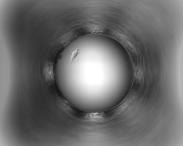 X0000093750622200710161158