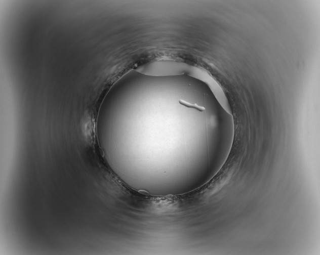 X0000093750624200710161158