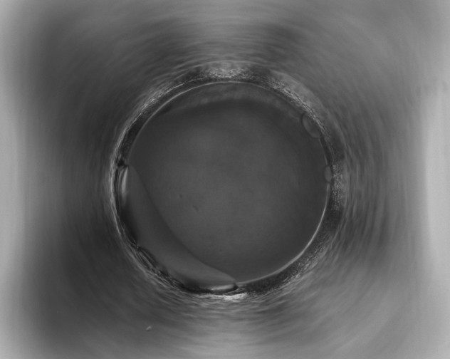 X0000093750626200710161158