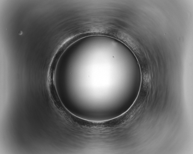 X0000093750628200710161158