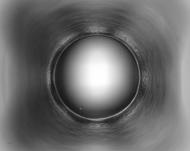 X0000093750629200710161158