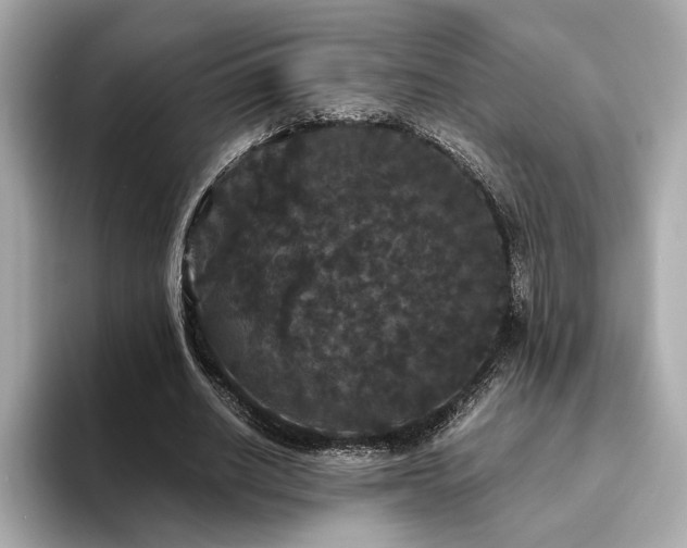 X0000093750630200710161158
