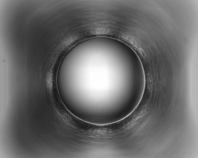 X0000093750631200710161158