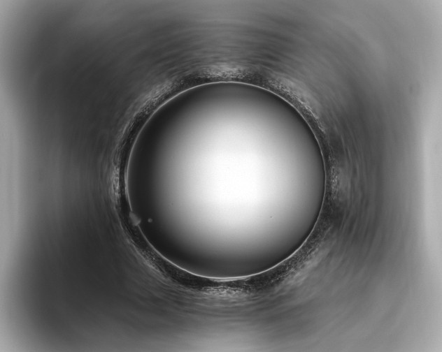 X0000093750633200710161158