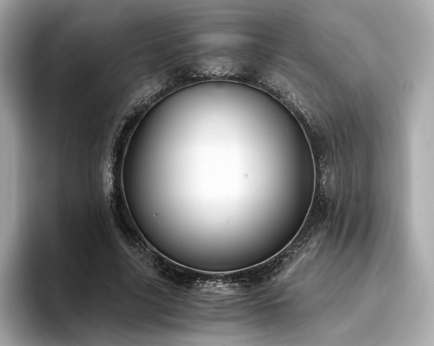 X0000093750635200710161158