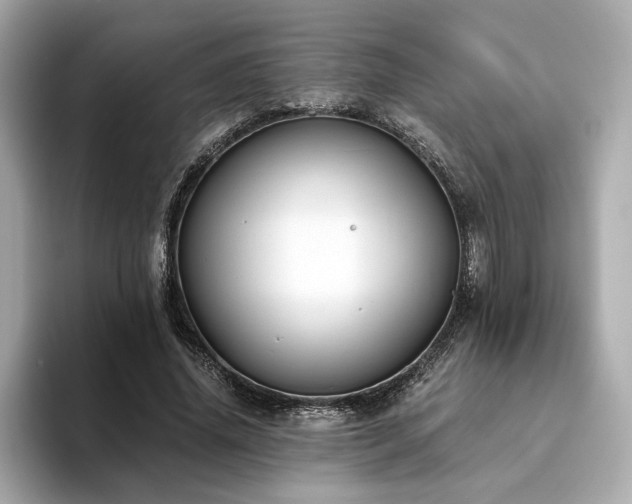 X0000093750636200710161158