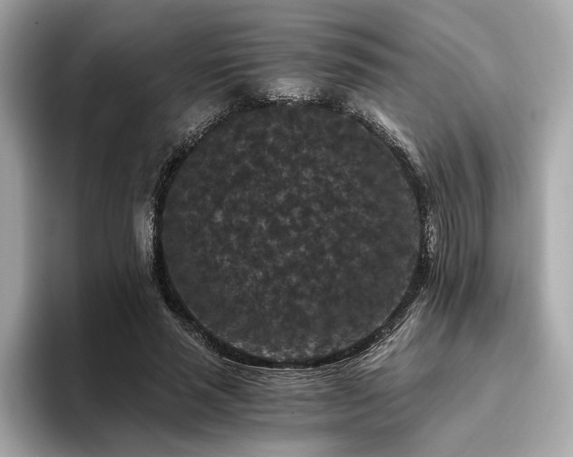 X0000093750637200710161158
