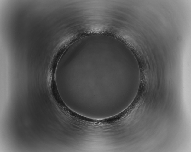 X0000093750640200710161158