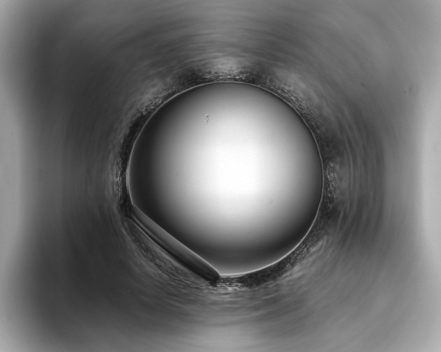 X0000093750642200710161158