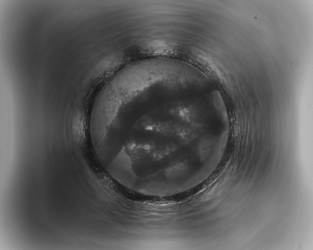 X0000093750643200710161158