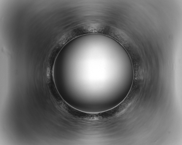 X0000093750646200710161158