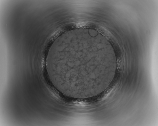 X0000093750648200710161158