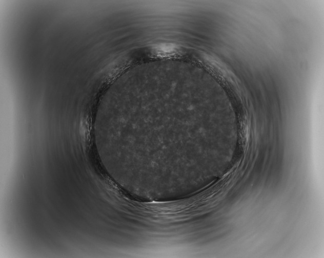 X0000093750653200710161158