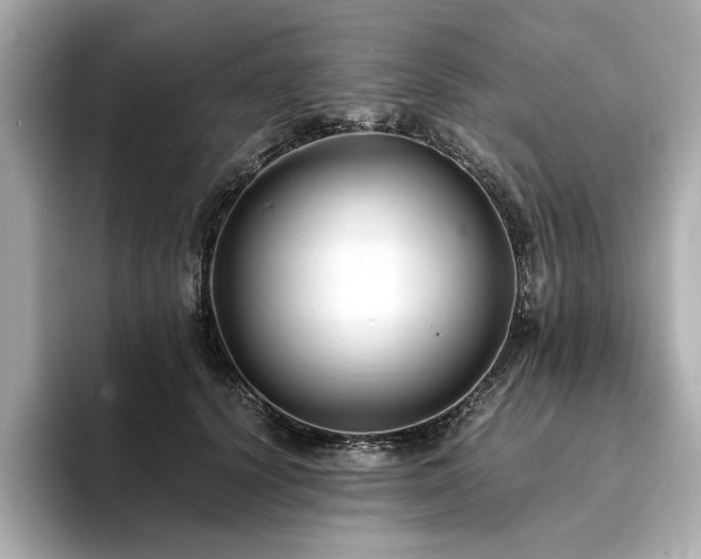 X0000093750656200710161158