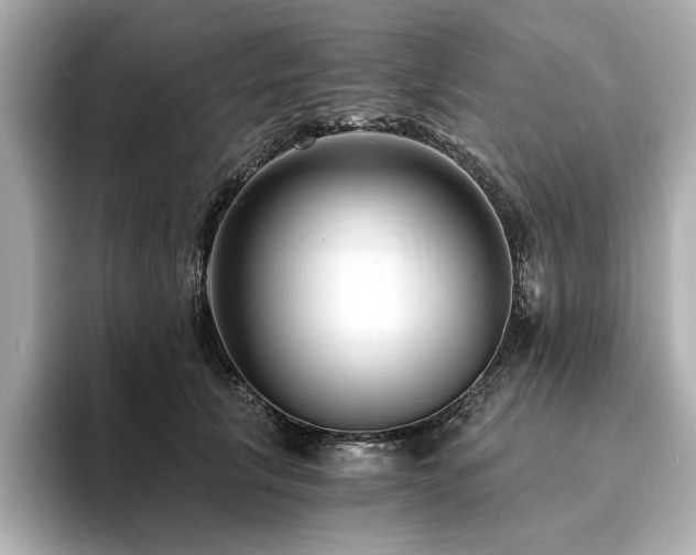 X0000093750657200710161158