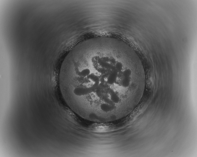 X0000093750658200710161158