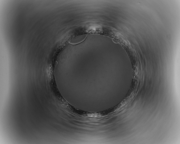 X0000093750659200710161158