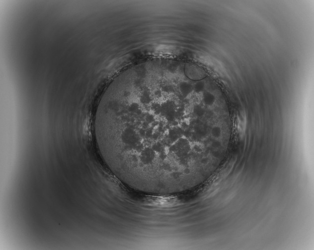 X0000093750663200710161158