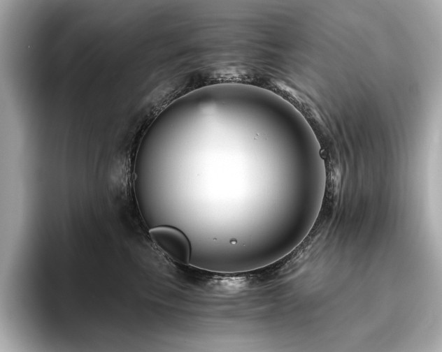 X0000093750665200710161158