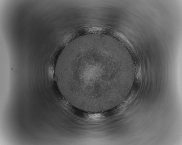 X0000093750669200710161158