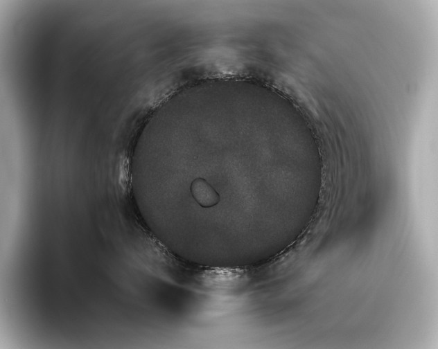 X0000093750672200710161158