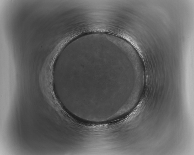 X0000093750673200710161158