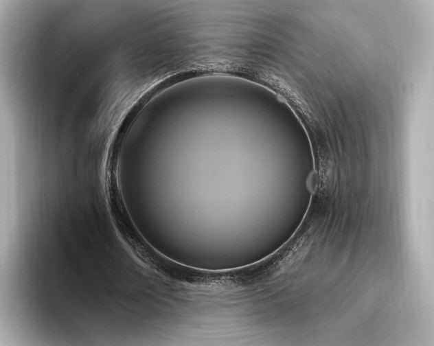 X0000093750674200710161158