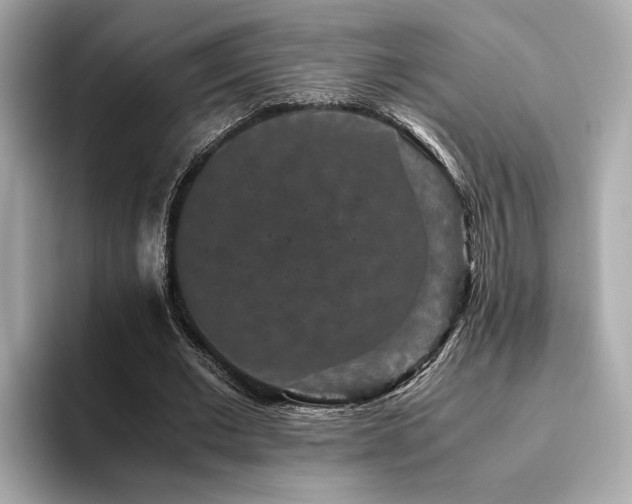 X0000093750677200710161158