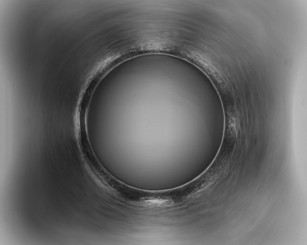 X0000093750678200710161158