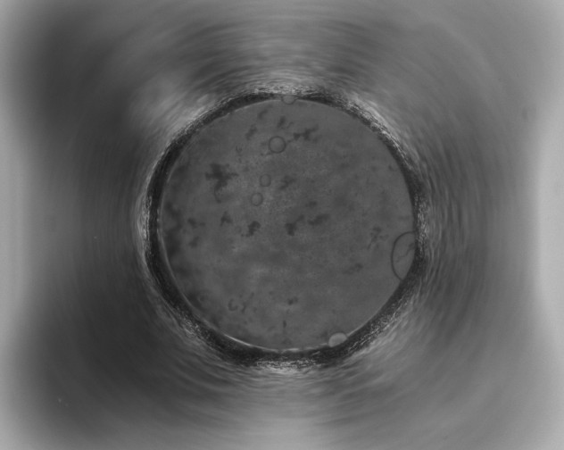 X0000093750679200710161158