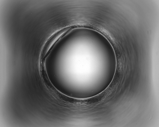 X0000093750680200710161158