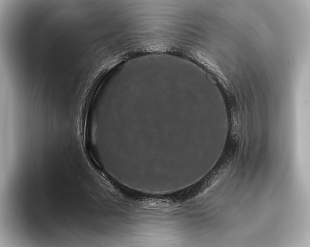 X0000093750681200710161158