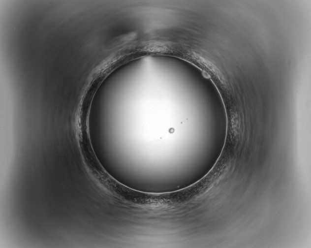 X0000093750682200710161158