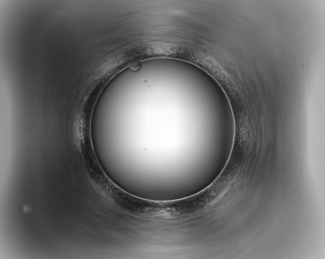 X0000093750683200710161158