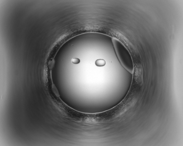 X0000093750684200710161158