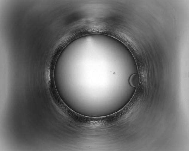 X0000093750686200710161158