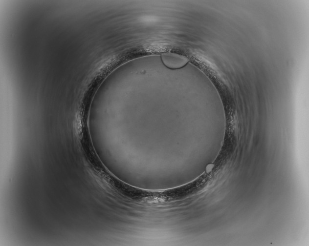 X0000093750687200710161158