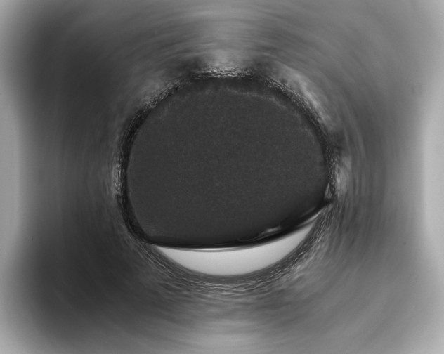 X0000093750689200710161158