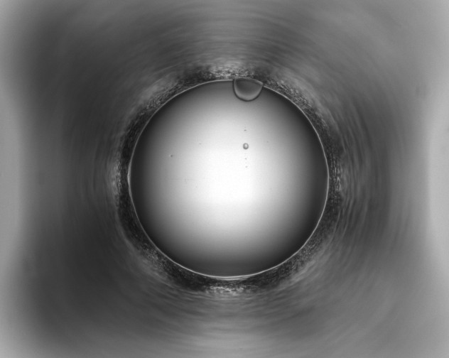 X0000093750690200710161158