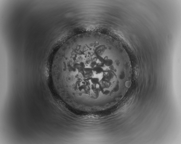 X0000093750691200710161158