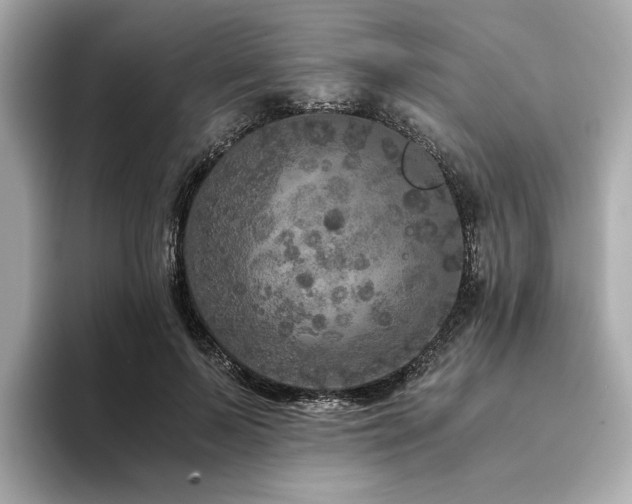 X0000093750695200710161158
