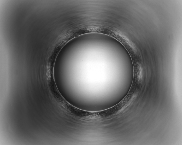 X0000093750696200710161158