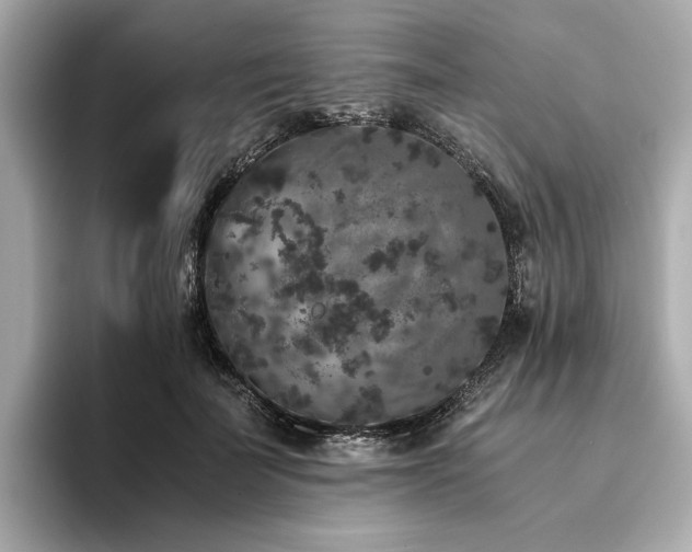 X0000093750699200710161158