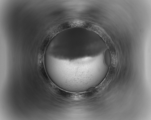 X0000093750701200710161158