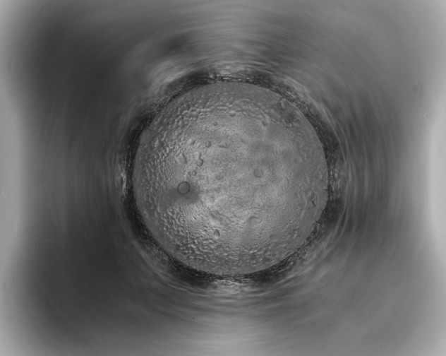 X0000093750703200710161157