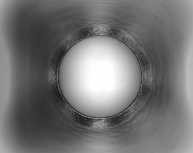 X0000093750705200710161157