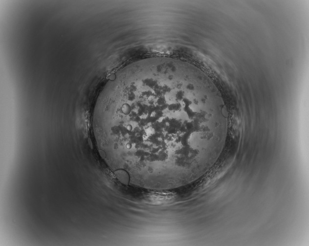 X0000093750707200710161157