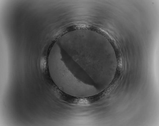 X0000093750715200710161157